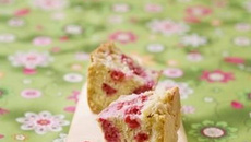 Moelleux rhubarbe-framboise