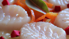 Carpaccio de Saint-Jacques aux baies roses