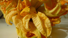 Petites galettes de fleurs de courgettes