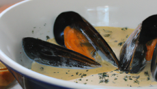 Crème de moules