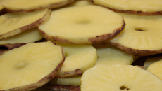Galettes de pommes de terre maison