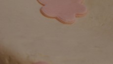 Gâteau au chocolat et son décor (pâte à sucre)