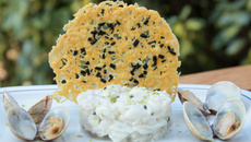 Tartare de daurade, tuile de la mer et palourdes au saké