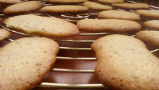 Langues de chat au noisette