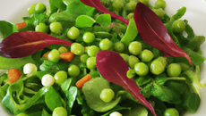 Salade de petits pois frais au mesclun