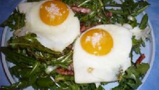 Assiette de pissenlits gourmande