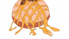 Flan spéculoos-chocolat-fruits secs