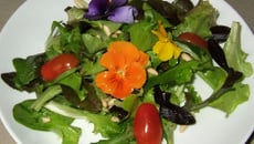 Salade fleurie