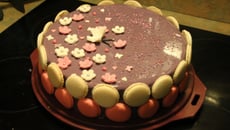 Gâteau citron cassis