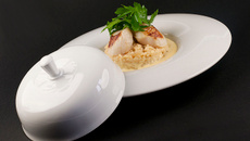 Coquilles Saint Jacques et son risotto à la crème de moutarde