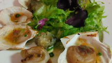 Noix de St-Jacques aux huîtres plates panées, salade au miel et Saké