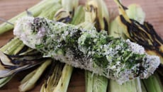 Epis de maïs à la Mexicaine ou Elotes