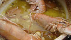 Tajine de joues de lotte aux abricots et langoustines