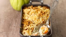 Gratin de christophine, sauce béchamel au roquefort