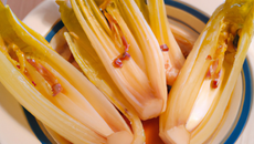 Endives à la canelle