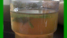 Thé à la menthe maison