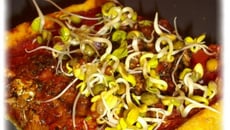 Tarte santé à la sardine