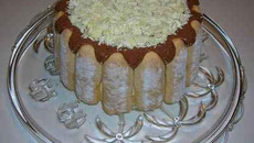 Charlotte panachée chocolat/vanille