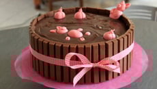 Bain de boue pour les cochons