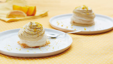 Pavlola a la chicorée