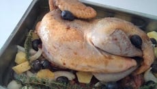 Faisan aux raisins noirs