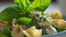 Salade de pâtes au basilic