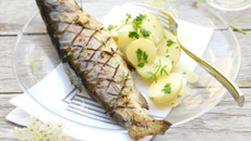 Truite d'aquaculture de nos régions grillée et beurre persillé, pommes