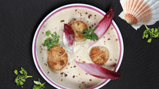 Saint-Jacques et espuma d'endives à la Charentaise