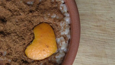 Riz au lait à l'espagnole