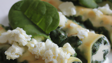 Cannellonis ricotta épinards express
