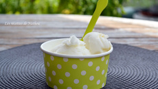 Sorbet au citron jaune et citron vert