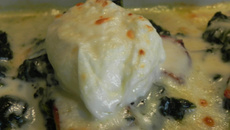 Œufs gratinés au cheddar et fondue d'épinards