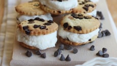 Ice cream biscuits