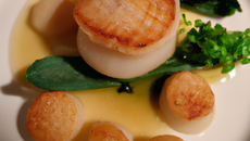 Saint-jacques aux hénons