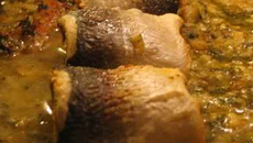 Paupiettes de poisson au vin blanc