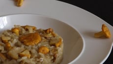 Risotto aux girolles