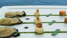 Huîtres plates de Prat Arcoum justes tièdes