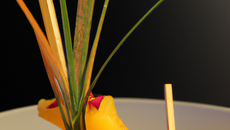 Cocktail qui cache son jeu