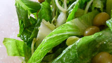 Salade verde
