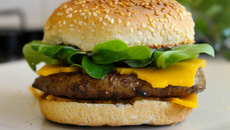 Hamburger Homemade with love