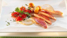 Rouget et sa sauce chicorée garnie de ses tomates cerise au basilic
