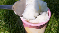 Sorbet au fromage blanc !