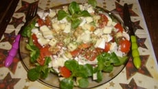 Salade vitalité