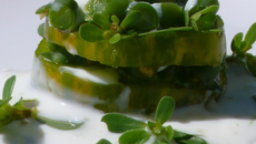 Millefeuille monochrome 'green zebra, haricots verts et pourpier'