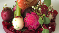 Rosace de betterave et langoustines framboisées