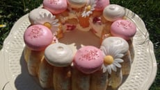 Charlotte légère aux fraises