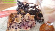 Gâteau sureau et rhubarbe à la ricotta