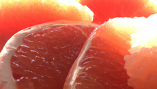 Pamplemousse fraîcheur