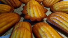 Madeleines de grand-mère