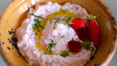 Garigette en tzatziki